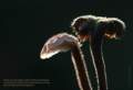 Photo Number 11
