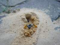 Photo Number 4