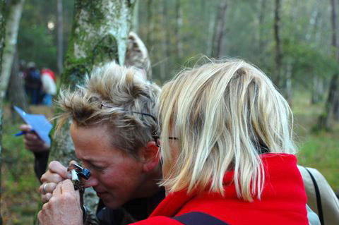 Natuurgidsencursus